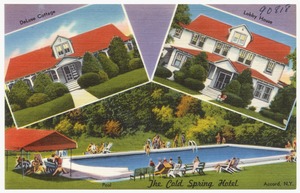 The Cold Spring Hotel, Accord, N. Y. -- deluxe cottage, lobby house, pool