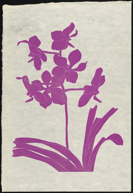 Untitled botanical print
