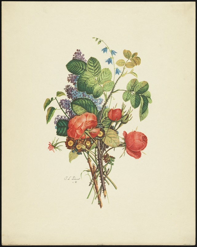 Bouquet