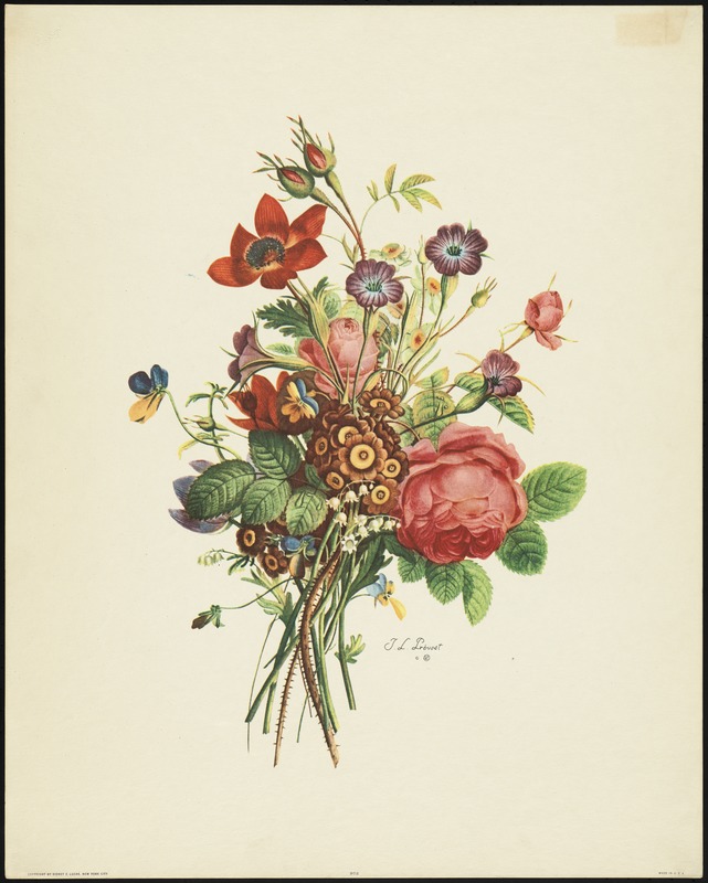 Bouquet
