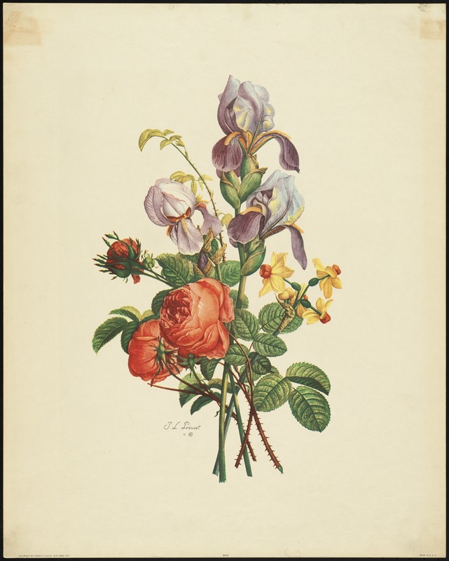 Bouquet