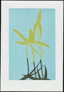 Botanical Prints, volume 12