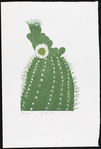Saguaro, Arizona state flower