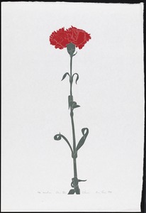 Carnation, Ohio state flower