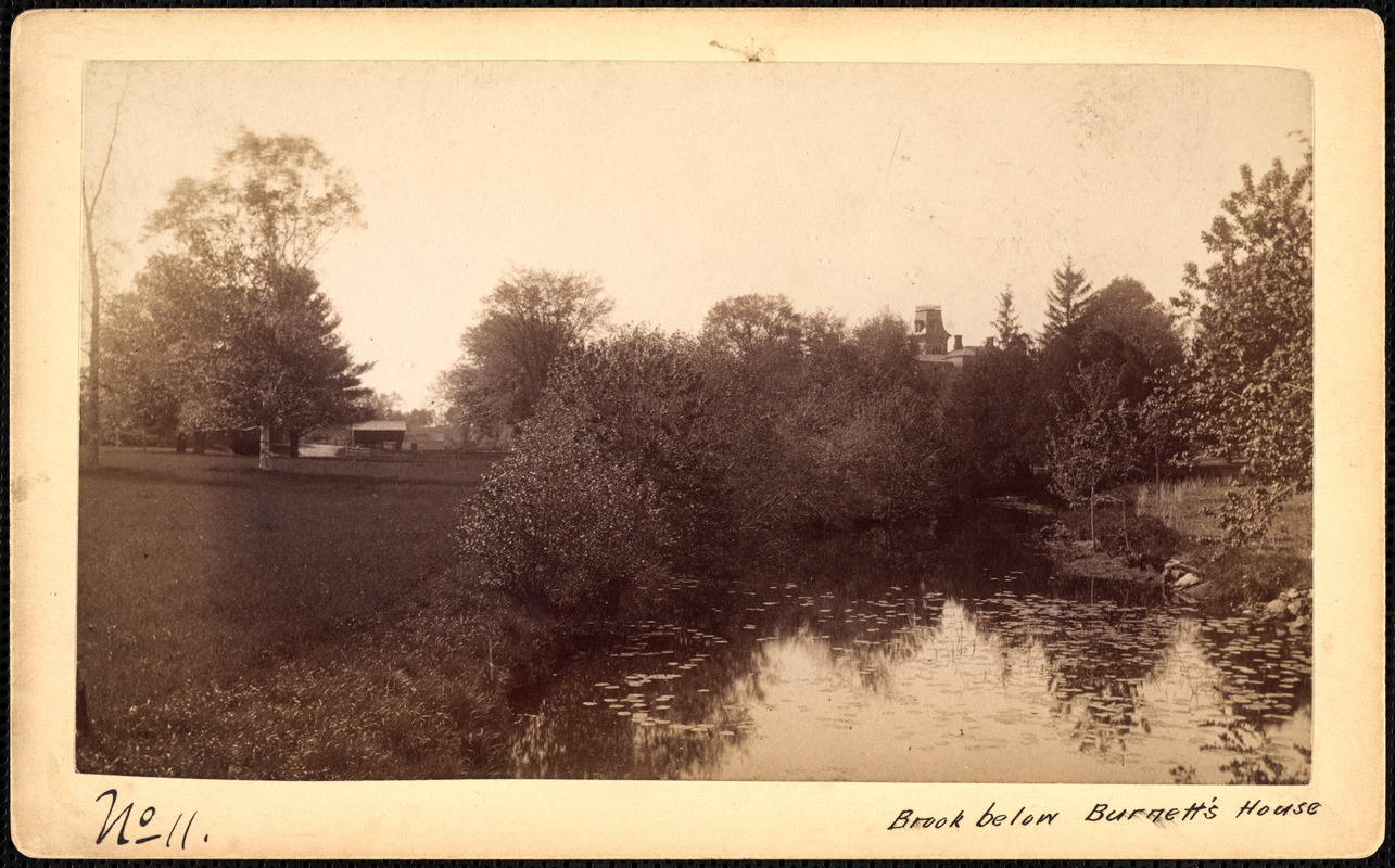 Sudbury Reservoir, real estate, Brook below Burnett's House, Southborough, Mass., ca. 1893
