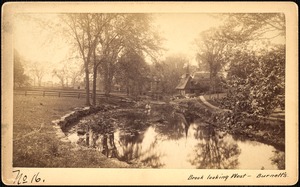 Sudbury Reservoir, real estate, Brook looking west--Burnett's property, Southborough, Mass., ca. 1893