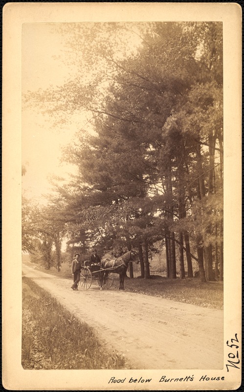 Sudbury Reservoir, real estate, road below Burnett's House [portrait orientation], Southborough, Mass., ca. 1893