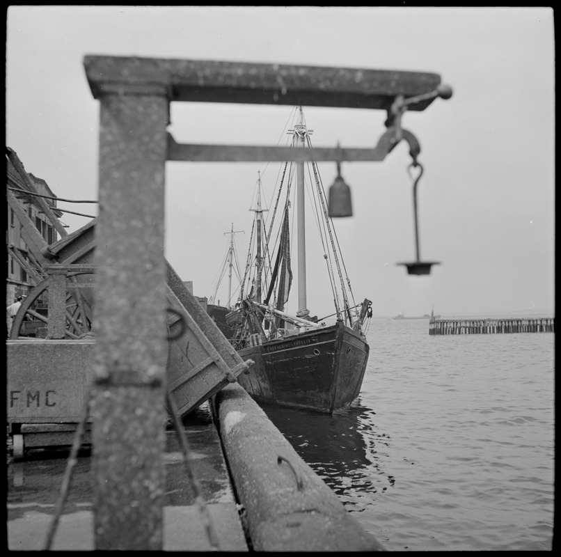 Fishing boats at T Wharf, Boston