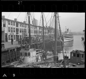 Trot line fishing boats at T Wharf