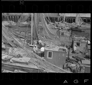 Trot line fishing boats at T Wharf