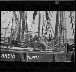 Trot line fishing boats at T Wharf