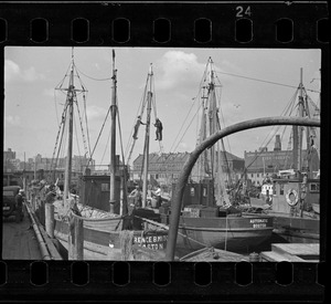 Trot line fishing boats at T Wharf