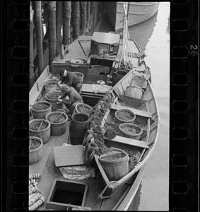 Trot line fishing boats at T Wharf