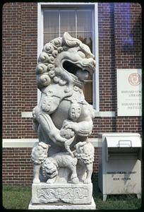 Lion statue outside of Harvard-Yenching Library, Cambridge