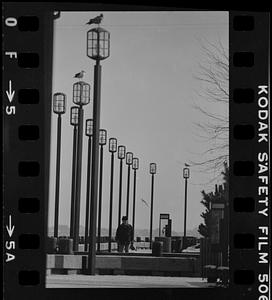 Boardwalk