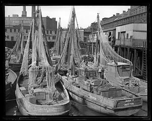 Fishing boats docked at Boston wharf including Josie II and Anna Guaranino, Quincy Market Cold Storage building in background
