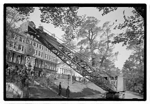 Tree removal