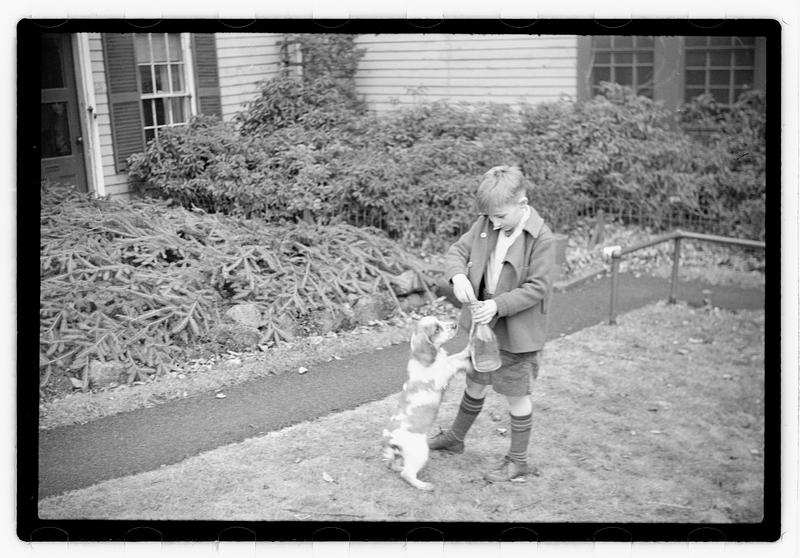 Idahurst Kennels
