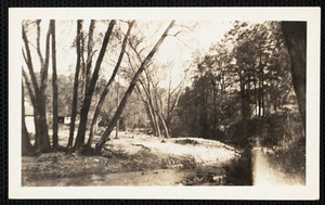 From yard of "Maywood" after 1938 flood (hurricane)