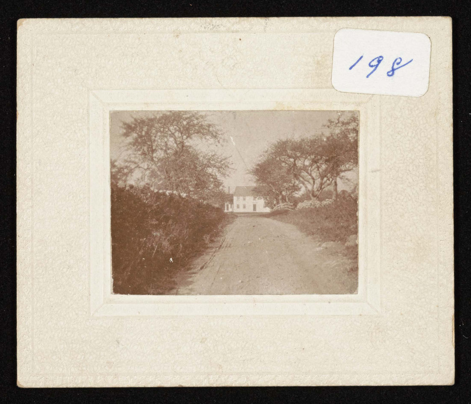 1890 photo, Wm. Austin Brown house and avenue at 1020 Bay Road, Ham.
