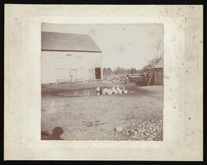 Roberts Farm, 1895