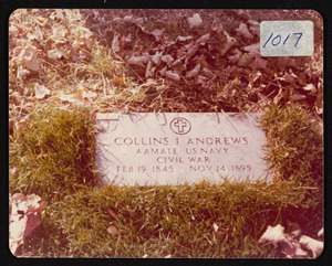 Collins Andrews gravesite