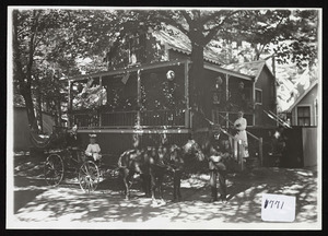 Two seater wagon drawn by two horses carrying girl and man in front of victorian cottage Mapleshade