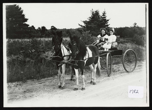 Two young ladies in a runabout drawn by two ponies, So. Hamilton, Mass, circa 1910
