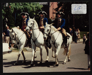 July 4, 1988, the Lippinzaner stallions