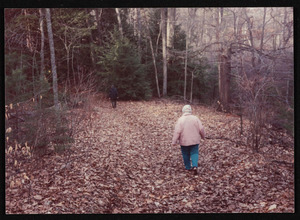 Blanche Day on the Gail Hamilton Trail, on or near the old Bavard Tuckerman land, Hamilton, Mass.