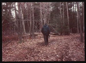 Al Dodge on the Gail Hamilton Trail, on or near the former Bavard Tuckerman property, Hamilton, Mass.
