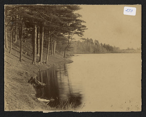 Idlewood Lake