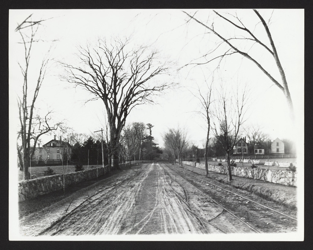 Pingree house at left, Abbott Johnson's house at right, view down Main St. from Mrs. Capt. Kimball's house