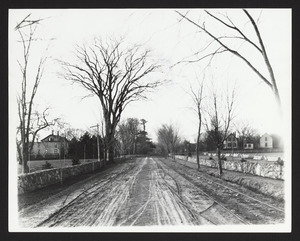 Pingree house at left, Abbott Johnson's house at right, view down Main St. from Mrs. Capt. Kimball's house