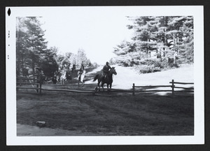 Mike Carter on lead horse