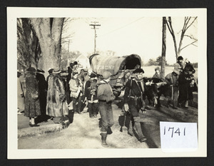 Covered wagon departure on the road in North Beverly, oxen and trekers