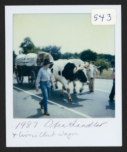 1987 oxen and handler and Lions Club wagon