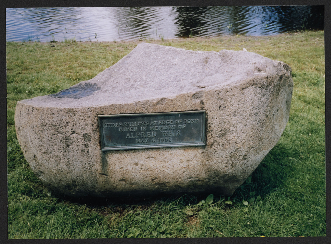 Patton Park, Hamilton, Mass, 2005