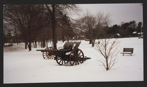 Civil War and World War I cannons at Patton Park