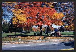 Fall 1999