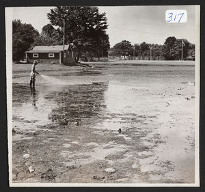 Patton Park, Weaver Pond, Aug. 21, 1974