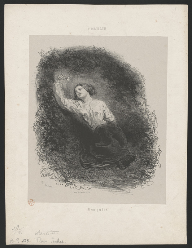 Fleur perdue
