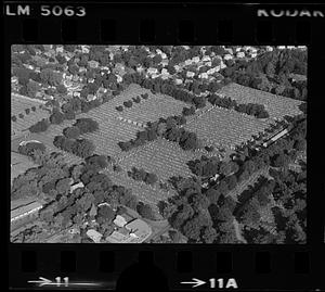Suburban cemetery aerial (unspecified location), unspecified Boston suburb