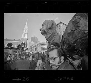 Anti-war demonstration with Lyndon Johnson effigy, Boston Common