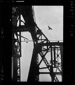 Seagull and railroad bridge, South Boston