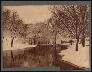 Duck pond in snow at Buttonwood Park, New Bedford, MA