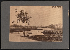 Mill Pond, showing Mill Pond, Fairhaven, MA before being drained and filled to create Cushman Park