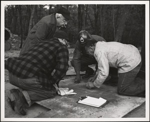 Emergency Mass Feeding, Fort Dix, New Jersey [1954]