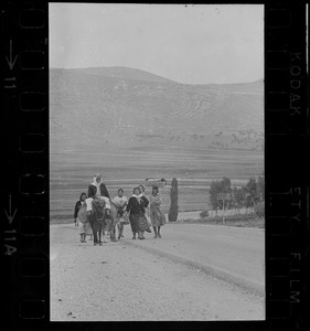 Group of people with donkeys walking along desert road, Israel