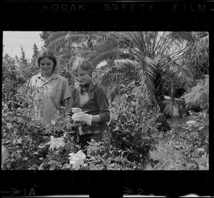 Two women gardening, Israel